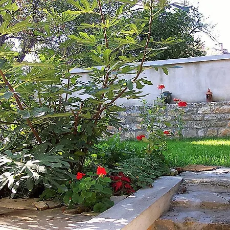 Apartman Eli's Orchid Veliko Tarnovo
